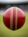 RZN8 'Match' Cricket Ball