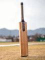 RZN8 'Gully' Kashmiri Willow Bat